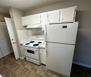 Spacious 2 Bedroom Cat Friendly Suite in Clearview! - Photo 5