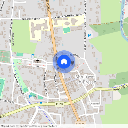 Ain, 01, 01340, Montrevel En Bresse