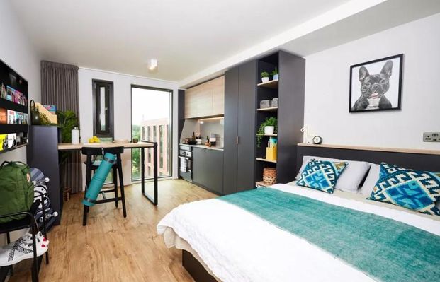 1 bedroom private hall to rent - Photo 1