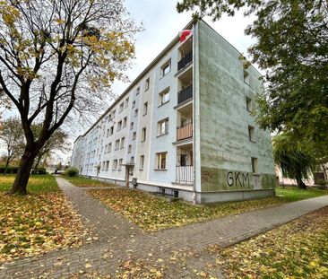 Grudziądz Mieszkanie na wynajem - Zdjęcie 5