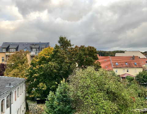 Schöne 2-Raum Whg.in Grimma, EBK, Bad mit Fenster und Balkon! - Foto 1