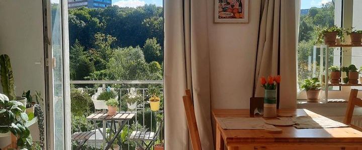 Helle 1-Zimmer Wohnung in Frankfurt Oder - Foto 1