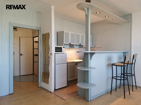 Pronájem bytu 1+kk v osobním vlastnictví 32 m², Brno - Photo 1