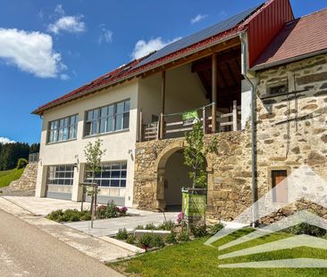 Wohnen am Rittsteigerhof - 2 Zimmerwohnung mit Terrasse und Garten! - Photo 4