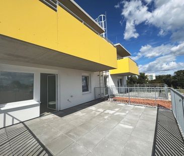 ERSTBEZUG „ein viertel grün“ in Wiener Neustadt - 3-Zimmer-Wohntrau... - Foto 3