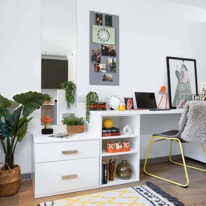 Double Wheelchair Accessible Studio - Photo 1