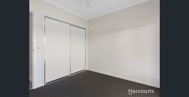 Charming Family Home in Park Ridge - $650/week - Photo 1