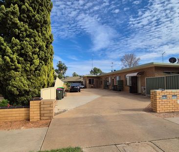 2/113 Ontario Avenue, 3500, Mildura Vic - Photo 2