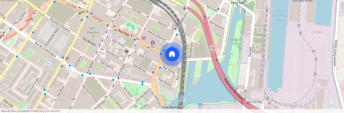 101 Rue Peel, #904, Ville-Marie, Montréal