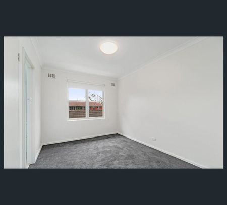 11/20 Florence Street, Cremorne, NSW 2090 - Photo 3