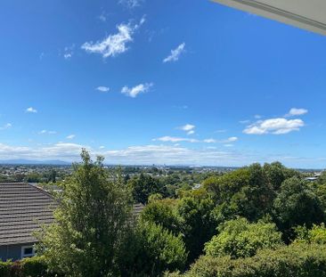 35a Hackthorne Road, Cashmere - Photo 6