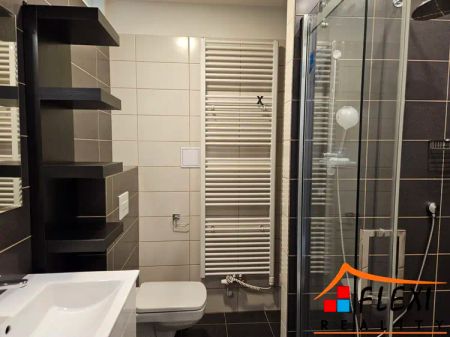 Pronájem bytu 1+kk, 30 m - Fotografie 4
