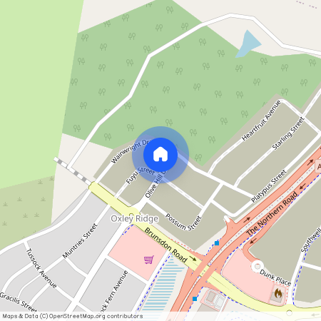 167 Olive Hill Drive, NSW 2570, Cobbitty