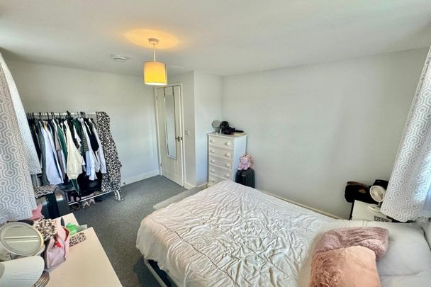 Bull Close - Photo 1