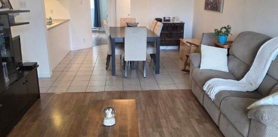 3 1/2 - Lévis - 875 $/mois - Photo 2