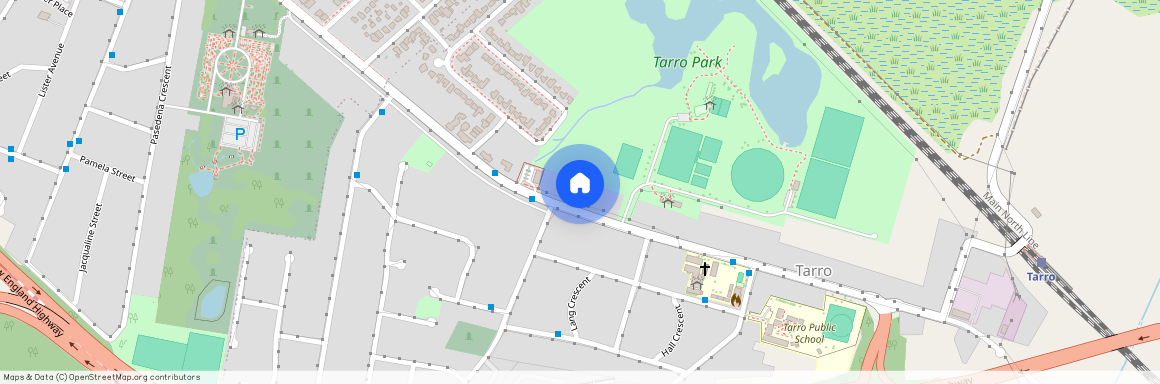 95 Anderson Drive, Tarro 2322, New South Wales