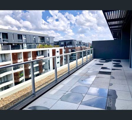 701/119 Ross Street, Forest Lodge, NSW 2037 - Photo 1