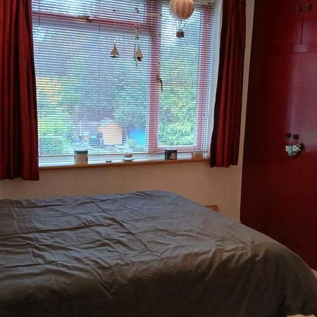 Mature landlady seeking mature professional female - Photo 3