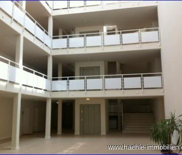 Helles 1 Zimmer Apartment in Uninähe - frei ab sofort - Foto 1