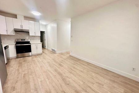 13185 236b St, Maple Ridge (Ground Level Basement B) - Photo 5