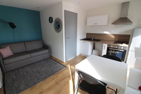 Location Appartement 1 pièce 18m² - Photo 3