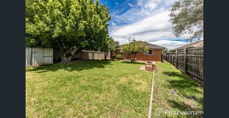 WONDERFUL BACKYARD AND CLOSE TO HIGH STREET - Photo 4