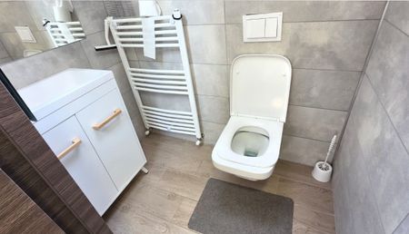 For rent an apartment in Cluj-Napoca, 7 minutes walk from the University of Medicine and Pharmacy and 7 minutes walk from the University of Agricultural Sciences and Veterinary Medicine, consisting of one room and a living-room - Fotografie 3