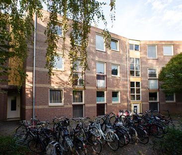 Lavendelweerd 4, Room no. B12 - Photo 6