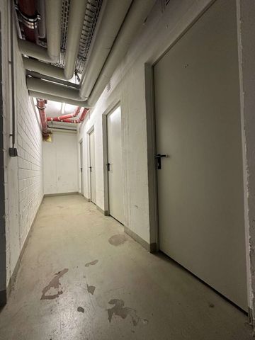 ++Frisch sanierte Familienwohnung mit Aufzug++ - Photo 5