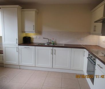 Unit 14, 81 Fitzroy Avenue, Belfast, BT7 1HT - Photo 4