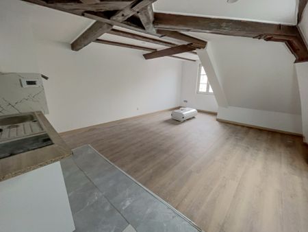 Location Appartement 1 pièce 22m² SELESTAT 67600 - Photo 2