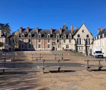 APPARTEMENT T2 MEUBLE A LOUER EN COURTE DUREE - A BLOIS - BELLES PR... - Photo 5