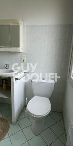 Appartement T2 climatisé, avec balcon, secteur Palissy - Photo 4