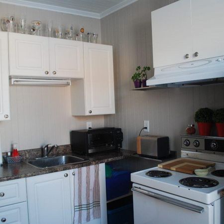 Appartement très lumineux, 3 1/2 sur 2 étage dans le Vieux Lévis près de la Terrasse - Photo 4