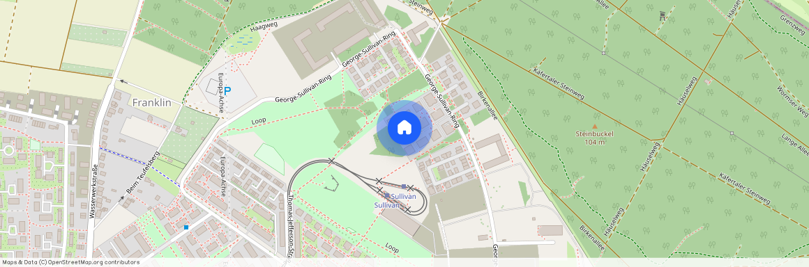 George-Sullivan-Ring 38, 68309, Mannheim