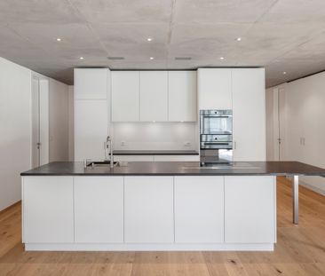 Erstbezug 4.5-Attika-Wohnung mit hochwertigem Ausbau - Photo 3