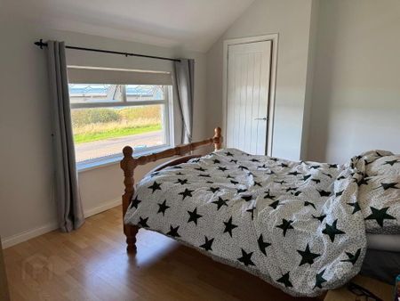 6 Derrymore Road, Gawleys Gate, Craigavon, BT67 0BW - Photo 2