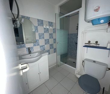 Location Appartement 1 pièce 18m² - Photo 2