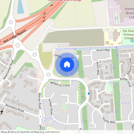 Damson Close, Red Lodge, BURY ST. EDMUNDS