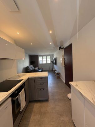 Location Appartement 3 pièces 53m² SEYSSINET PARISET 38170 - Photo 1