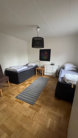 Kopparstigen, Svappavaara - Foto 3