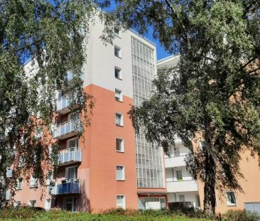 Zum Pier 1, 44536 Lünen - Foto 5