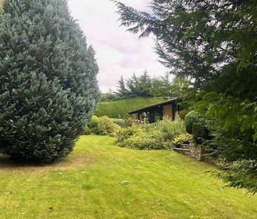 2 bedroom detached bungalow to rent - Photo 3