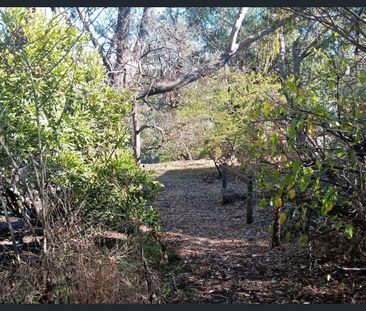 9 View Road, Blackwood, SA 5051 - Photo 3