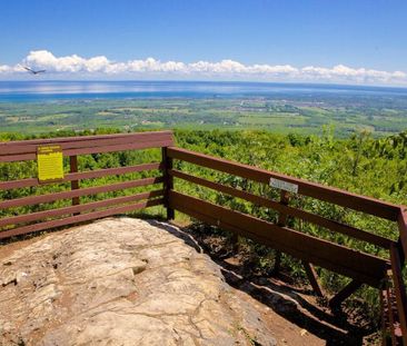 For Lease - 50 Trott Boulevard, Collingwood, Ontario - Photo 6