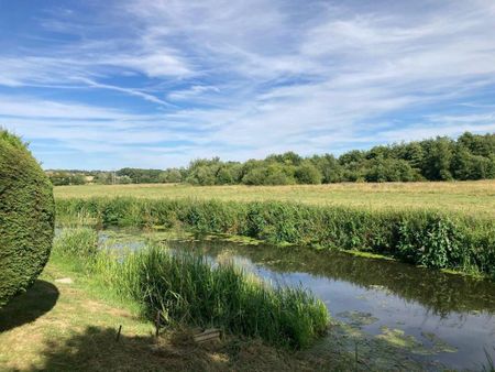 2 bedroom detached bungalow to rent - Photo 5