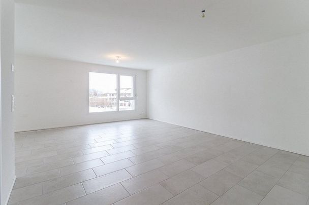 Charmant appartement de 2.5 pièces à louer à la campagne - Photo 1