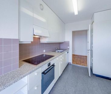 Living in a lively suburban neighborhood - Photo 4