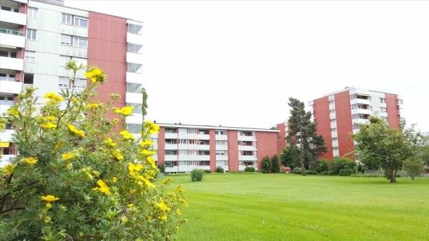 3.5-room apartment - Photo 1