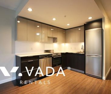 Unfurnished, 1 Bed 1 Bath Apartment For Rent - Photo 3